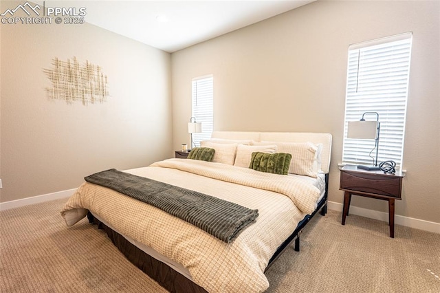 bedroom with baseboards and carpet flooring