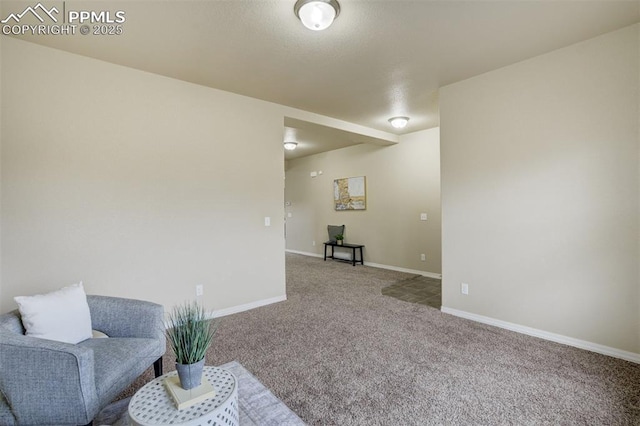 living area with carpet floors and baseboards