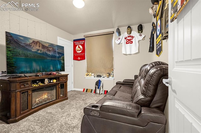 living area featuring carpet