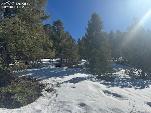 220 Ajax Ct, Cripple Creek, CO 80813