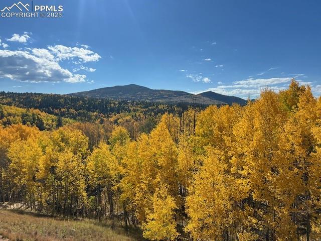 220 Ajax Ct, Cripple Creek, CO 80813