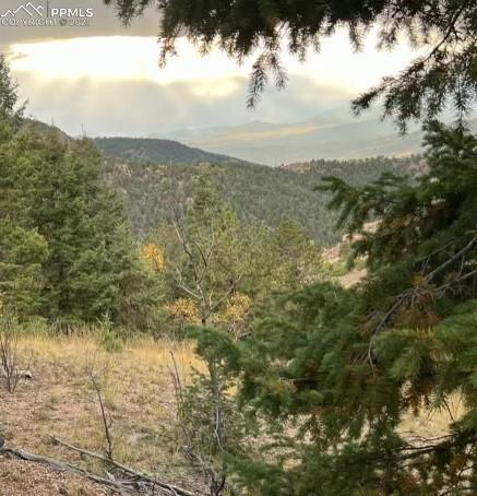 220 Ajax Ct, Cripple Creek, CO 80813