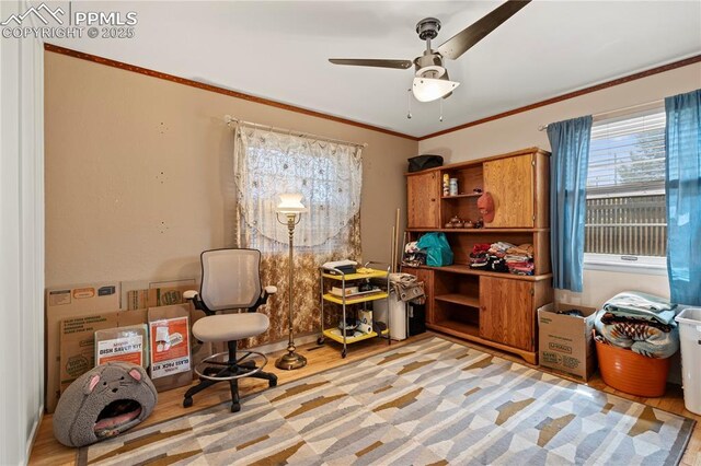 1514 Howard Ave, Colorado Springs, CO 80909 - office with ornamental molding, a ceiling fan, and light wood-style floors