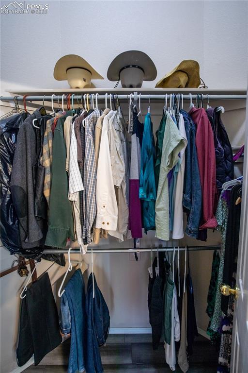 walk in closet with wood finished floors
