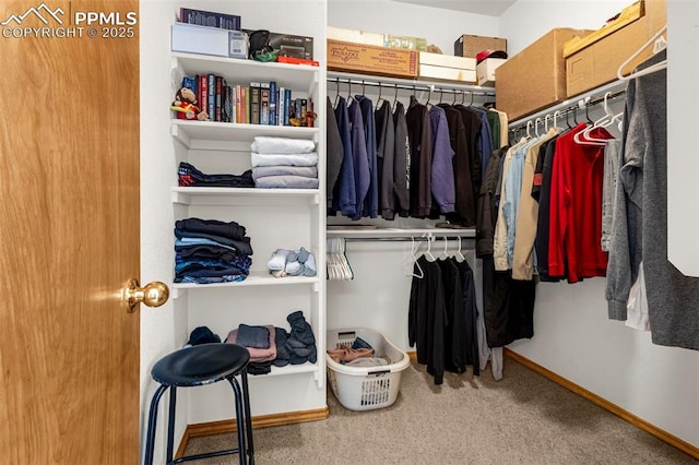 spacious closet featuring carpet floors