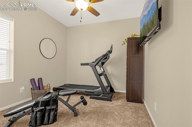 exercise area featuring a wealth of natural light, carpet floors, a ceiling fan, and baseboards