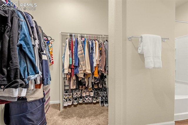 spacious closet featuring carpet flooring
