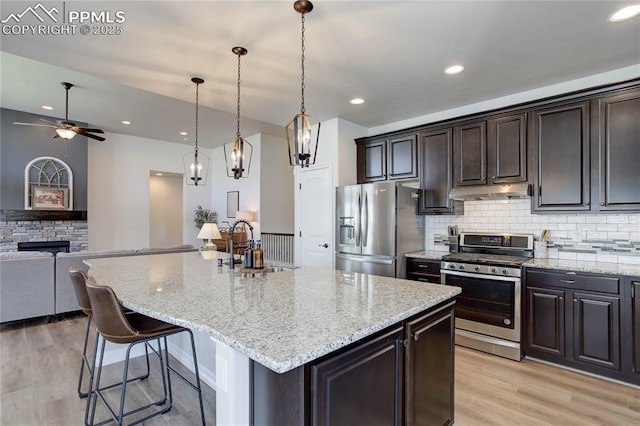 kitchen with decorative backsplash, light wood-type flooring, under cabinet range hood, a sink, and appliances with stainless steel finishes