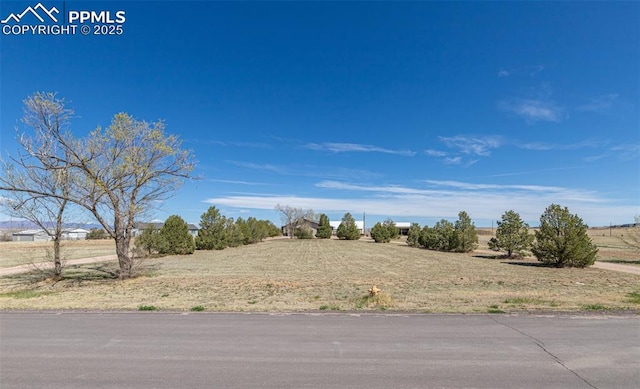 view of yard featuring a rural view