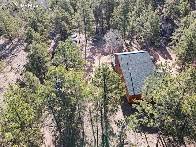 bird's eye view with a forest view