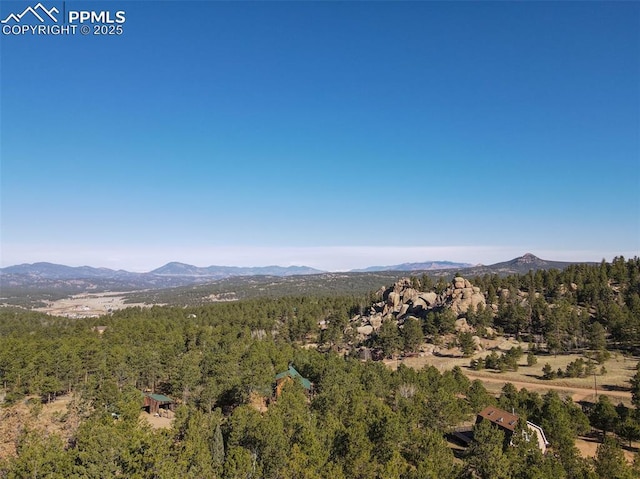 property view of mountains with a forest view