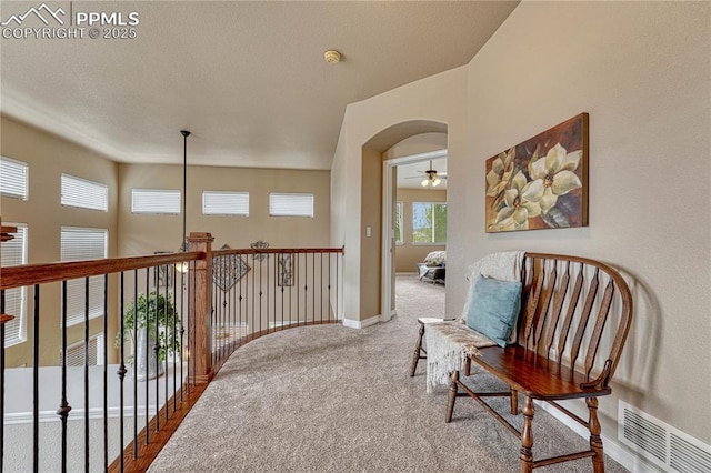 9539 Lizard Rock Trl, Colorado Springs, CO 80924 - corridor featuring carpet floors, baseboards, arched walkways, and visible vents