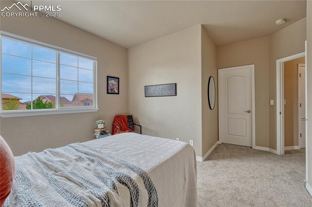 9539 Lizard Rock Trl, Colorado Springs, CO 80924 - carpeted bedroom with baseboards