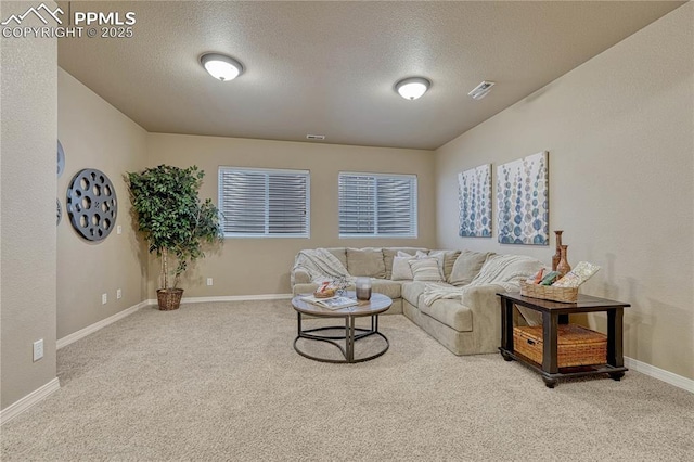 9539 Lizard Rock Trl, Colorado Springs, CO 80924 - living room with visible vents, a textured ceiling, and carpet