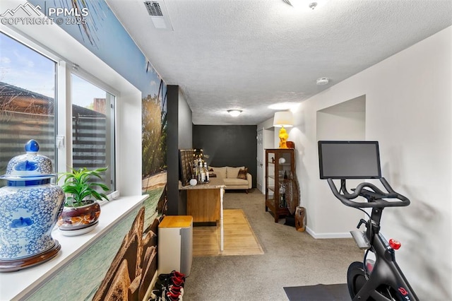 840 Quail Lake Cir, Colorado Springs, CO 80906 - workout area with carpet, visible vents, baseboards, and a textured ceiling