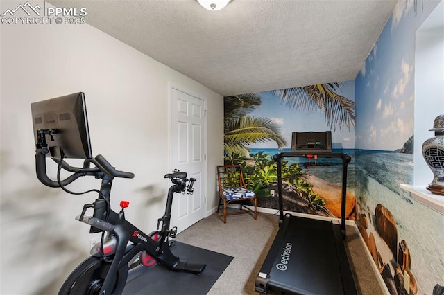 840 Quail Lake Cir, Colorado Springs, CO 80906 - exercise area featuring a textured ceiling and carpet floors