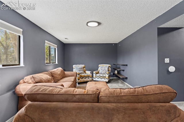 living room with a textured ceiling