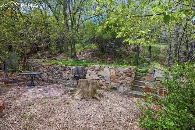 view of yard
