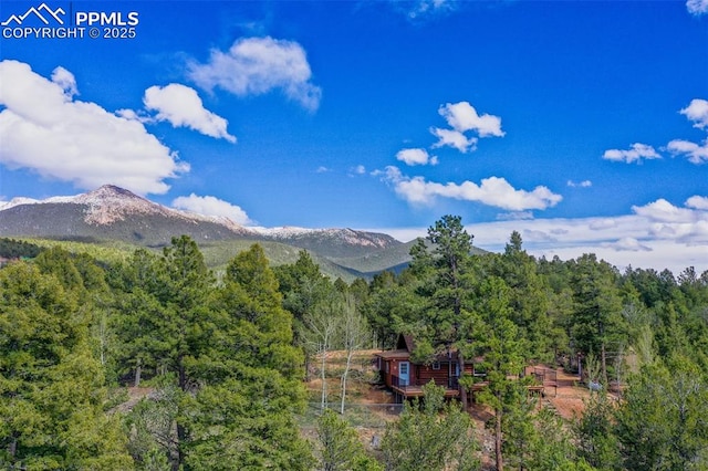 mountain view featuring a forest