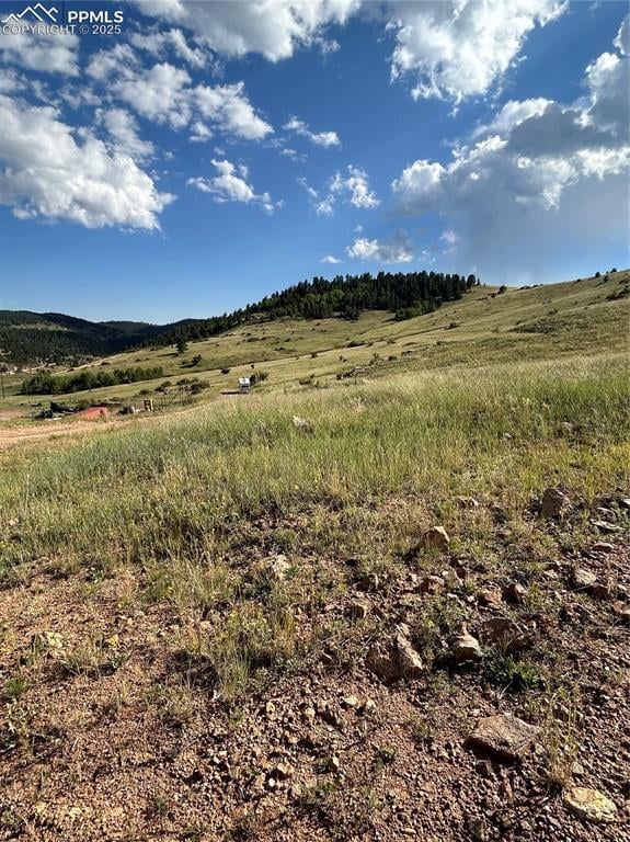 L1 Shideler St, Cripple Creek, CO 80813