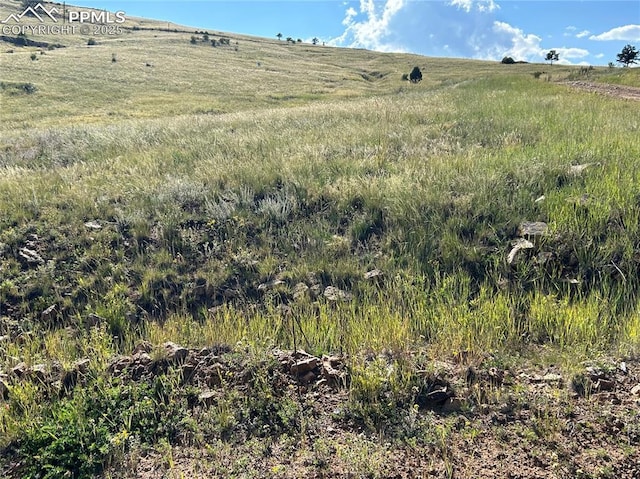L1 Shideler St, Cripple Creek, CO 80813