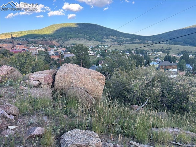 7th St, Victor, CO 80860