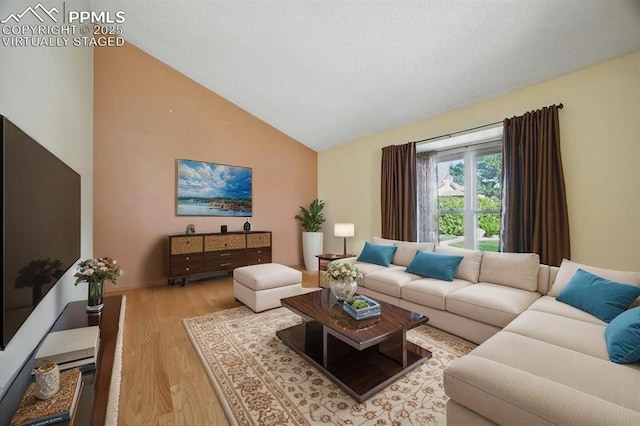 living area featuring high vaulted ceiling and wood finished floors