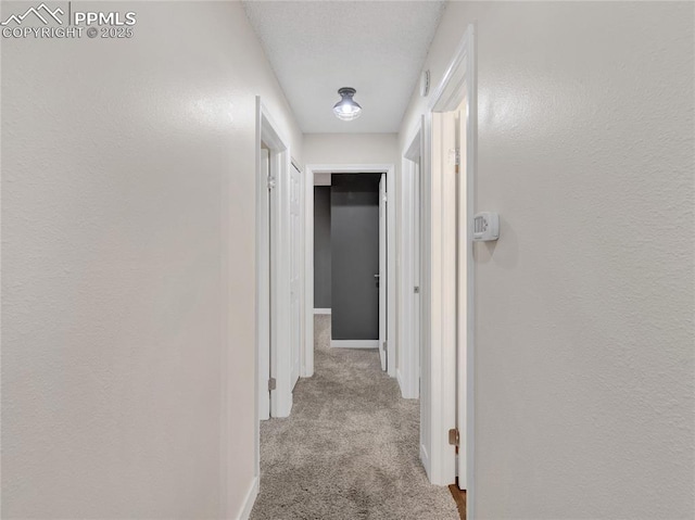 corridor featuring carpet flooring and baseboards