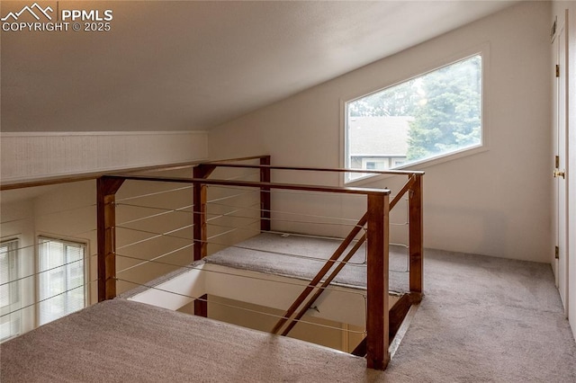 stairs featuring carpet floors