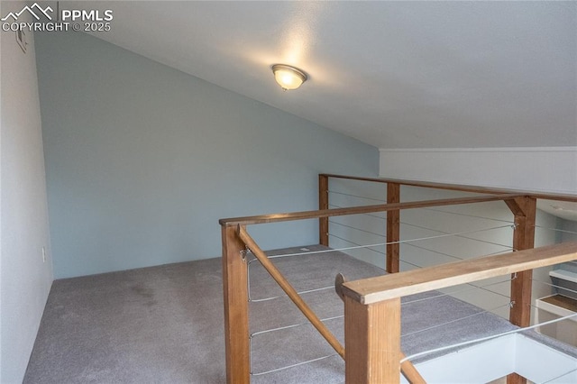 bonus room featuring carpet flooring