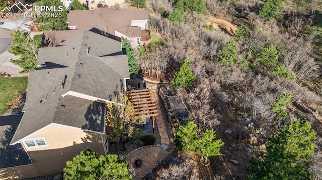 bird's eye view