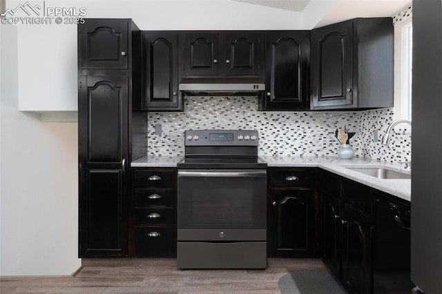 kitchen featuring exhaust hood, decorative backsplash, stainless steel range with electric stovetop, and a sink