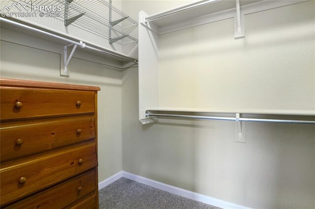 7044 Davey Crocket Ct, Colorado Springs, CO 80922 - spacious closet featuring carpet floors