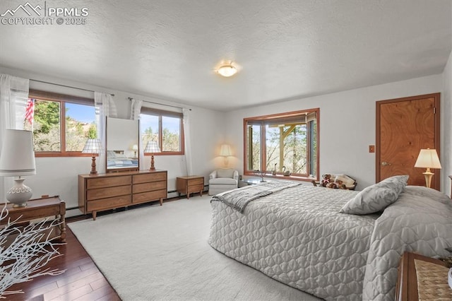 bedroom with wood finished floors and a baseboard radiator