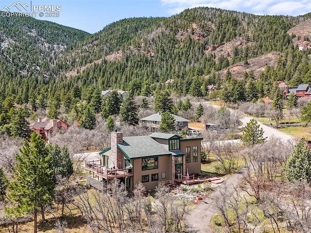 view of mountain feature with a wooded view