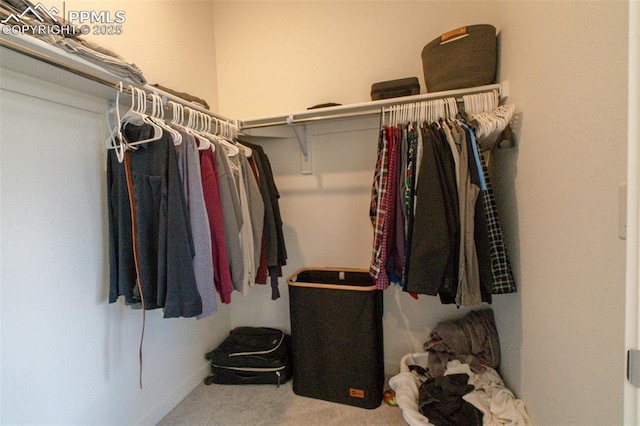 spacious closet with carpet flooring