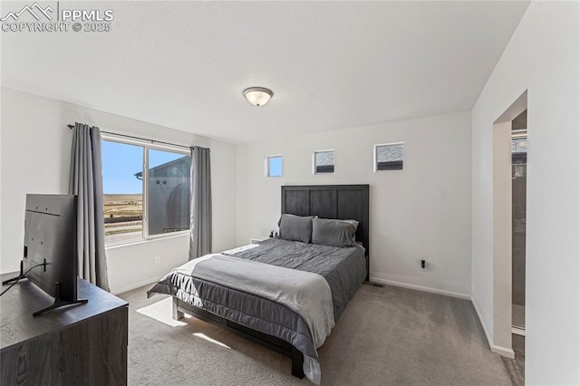 6117 Ashmore Ln, Colorado Springs, CO 80927 - bedroom featuring carpet floors and baseboards