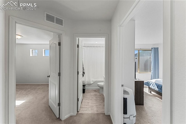 6117 Ashmore Ln, Colorado Springs, CO 80927 - corridor featuring visible vents, carpet flooring, and baseboards