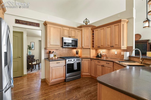 kitchen featuring dark countertops, tasteful backsplash, a sink, stainless steel appliances, and dark wood-type flooring