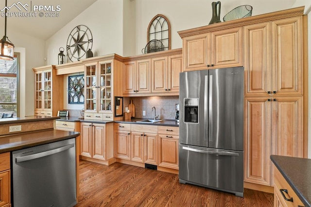 kitchen with dark countertops, appliances with stainless steel finishes, dark wood-style flooring, and a sink
