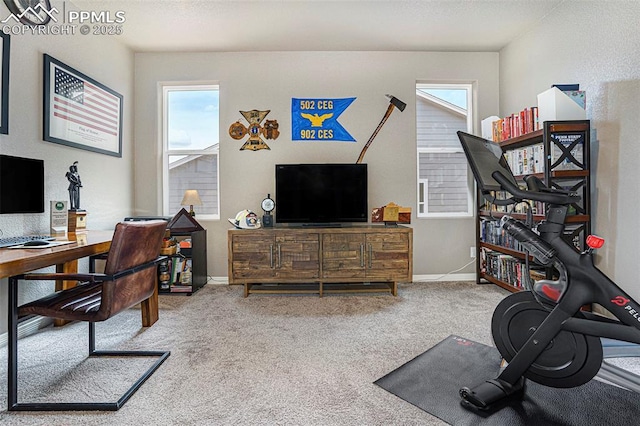 12857 Morning Breeze Way, Peyton, CO 80831 - carpeted office space with baseboards