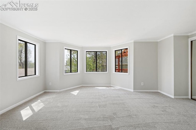 735 N Walnut St, Colorado Springs, CO 80905 - spare room with crown molding, carpet flooring, and plenty of natural light