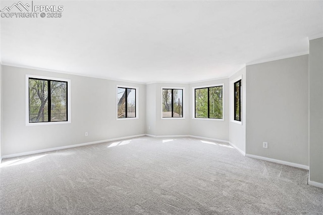 735 N Walnut St, Colorado Springs, CO 80905 - unfurnished room featuring baseboards, ornamental molding, and carpet