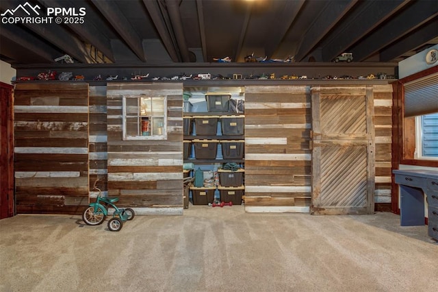 view of storage room