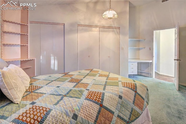 bedroom featuring carpet floors and multiple closets