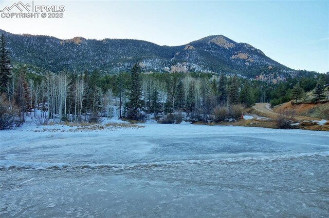 property view of mountains with a forest view