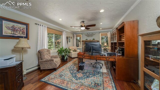 17770 Radbourne Ct, Monument, CO 80132 - office area with a baseboard radiator, plenty of natural light, dark wood-style floors, recessed lighting, and crown molding