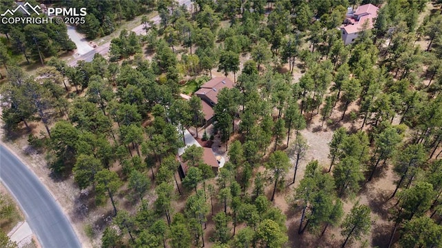 17770 Radbourne Ct, Monument, CO 80132 - aerial view of property and surrounding area