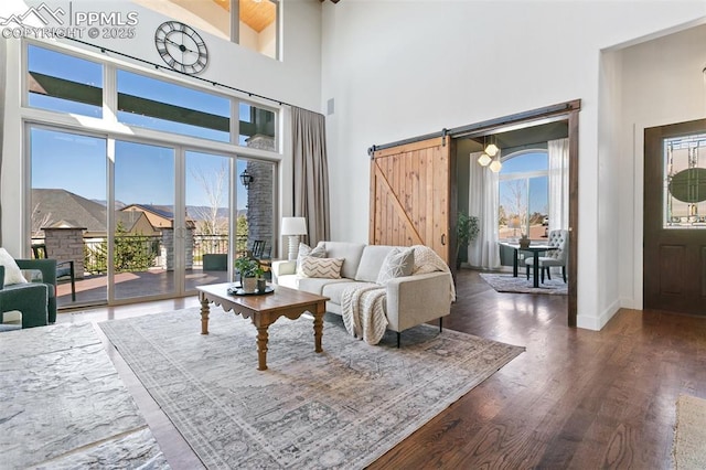 13625 Kitty Joe Ct, Colorado Springs, CO 80921 - living room featuring a high ceiling, a healthy amount of sunlight, and dark wood finished floors