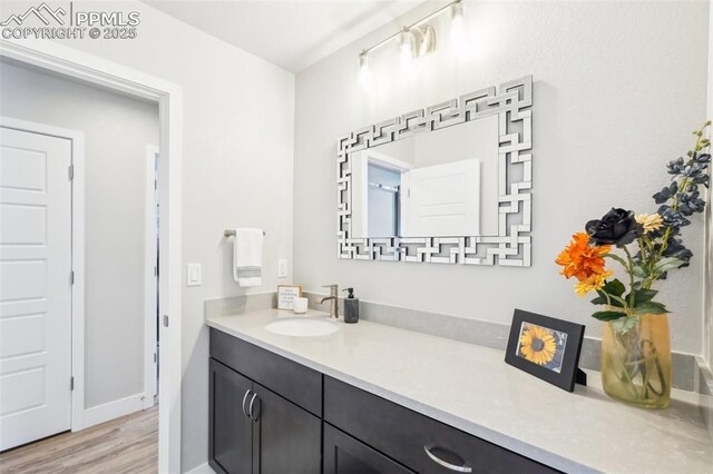bathroom with vanity and wood finished floors